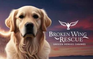 Broken Wing Rescue/Supplipet