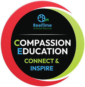 CECI-Logo_300 CECI-Logo_300