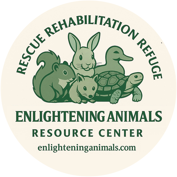 Enlightening_Logo_new_600