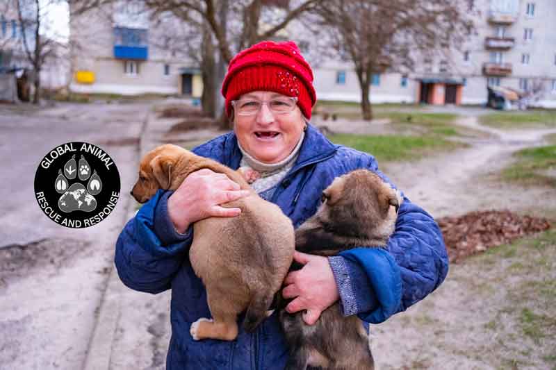 GlobalAnimalRescue_DSF5448_SM GlobalAnimalRescue_DSF5448_SM