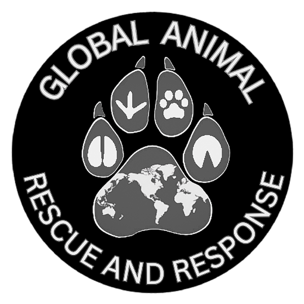 GlobalAnimalRescue_logo_600 GlobalAnimalRescue_logo_600