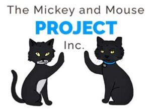 The Mickey and Mouse Project