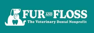 Fur and Floss: The Veterinary Dental Nonprofit