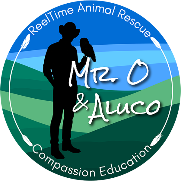 Mr.-O-&-Aluco_logo_600