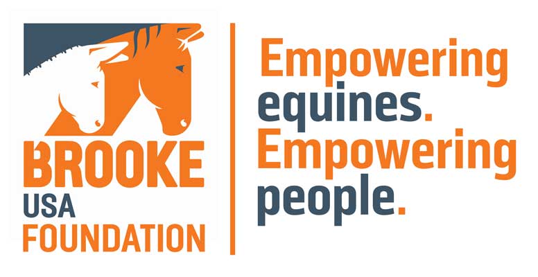 Brooke-USA-logo_600