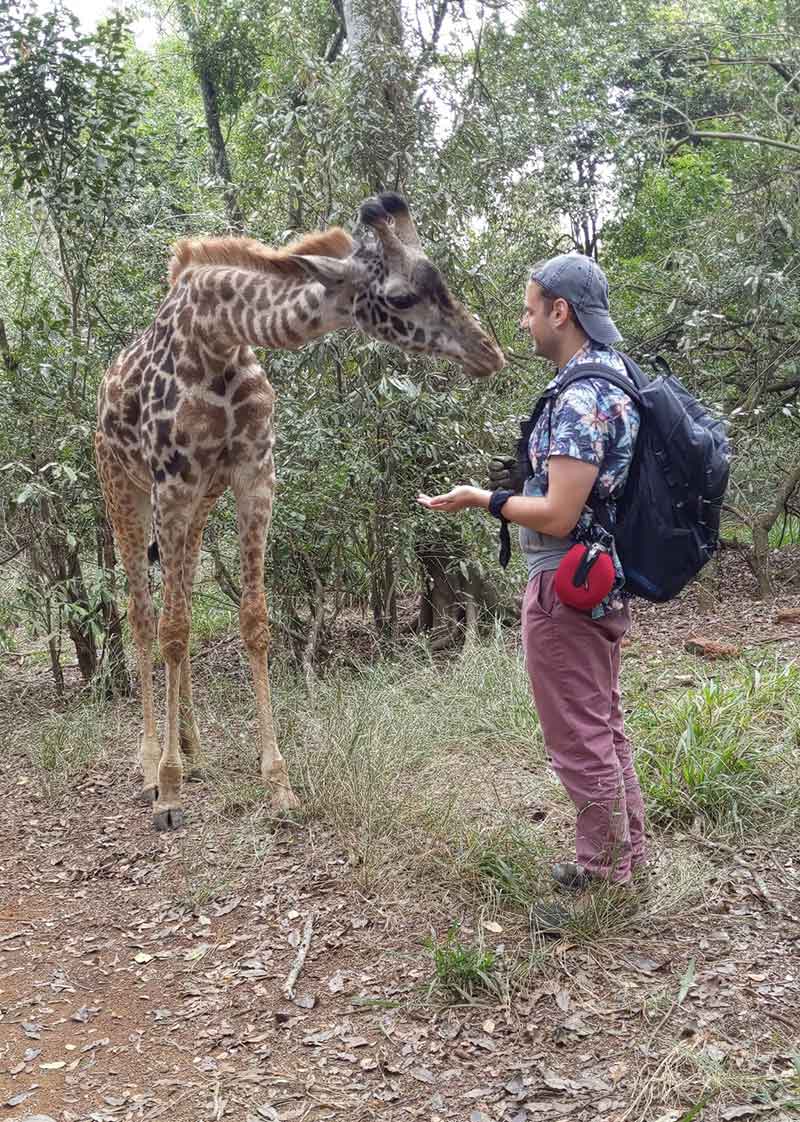 SaveAnimalsWorld_1