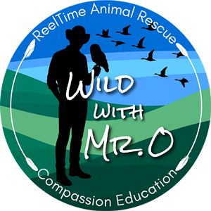 Wild with Mr. O