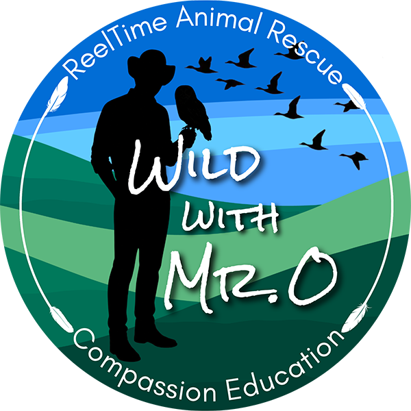 Wild_wMRO_600