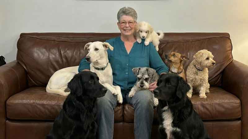 AAF_BJ_AnD_ALLHERDOGS_sm
