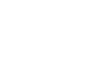 Animal-Angels Foundation
