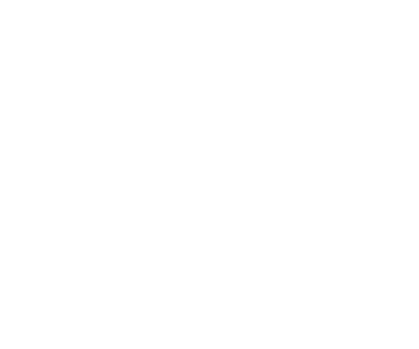 AAF_Logo_White_Transparent_Background_600