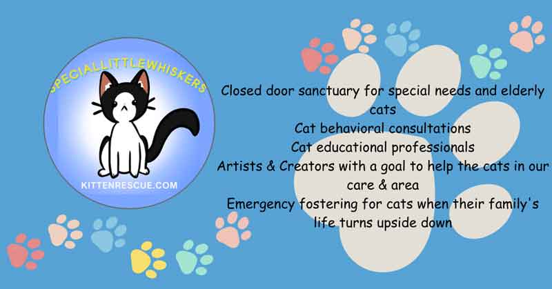 Closed-door-sanctuary_sm