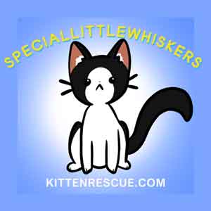 Special Little Whiskers Sanctuary